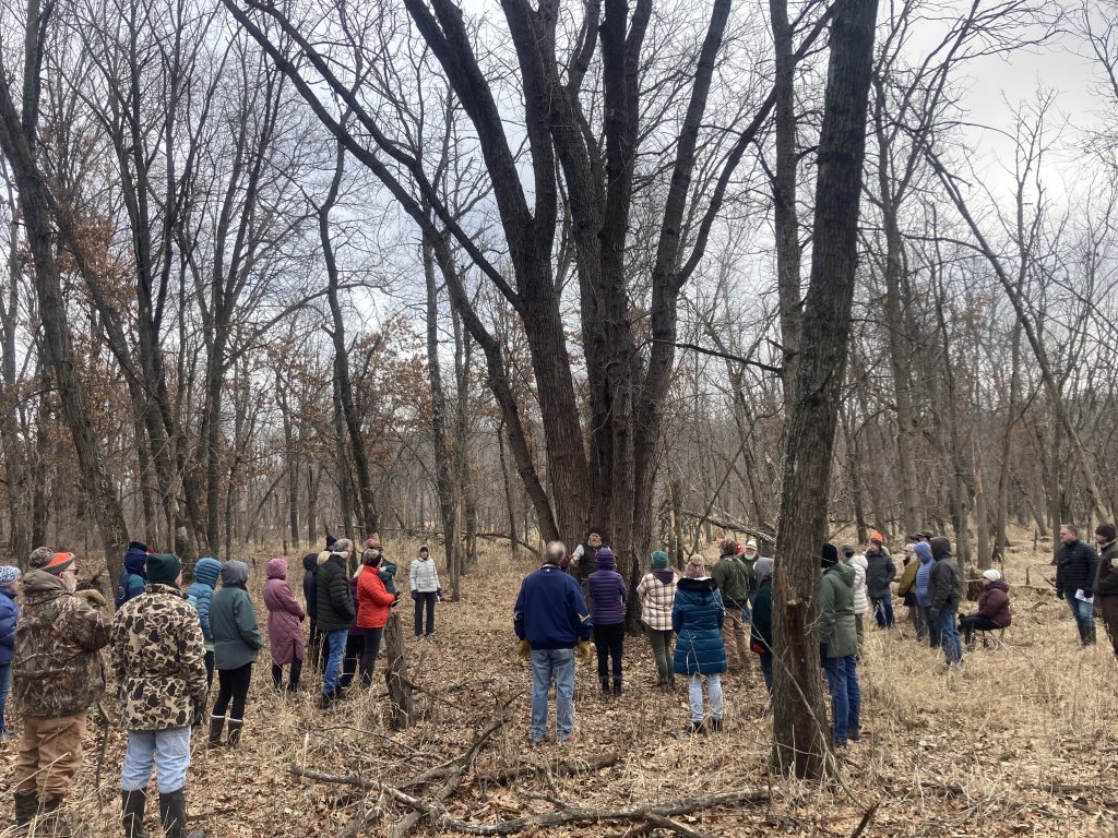 a group of people standing in a forest