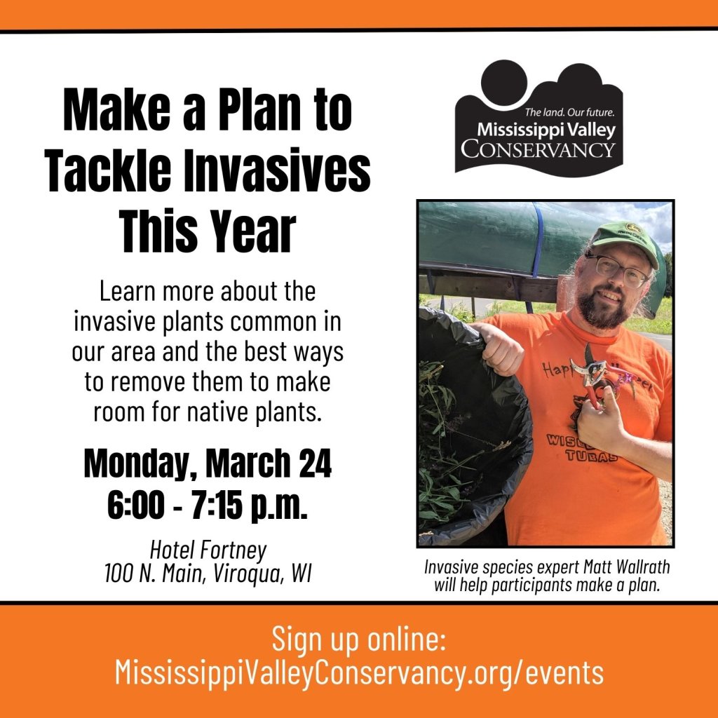 LTTL Invasives 2025