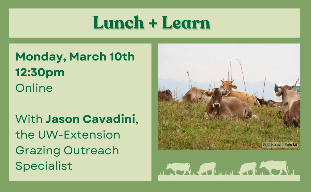 Lunch and learn 2