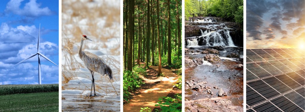 a collage of a river and a bird