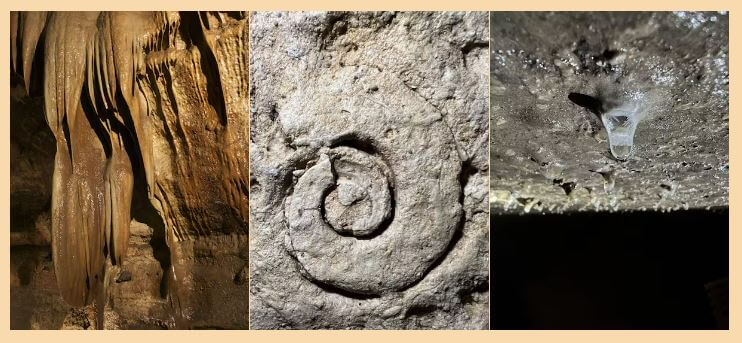 a close up of a rock