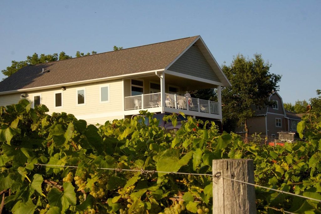 garvin vineyard 2