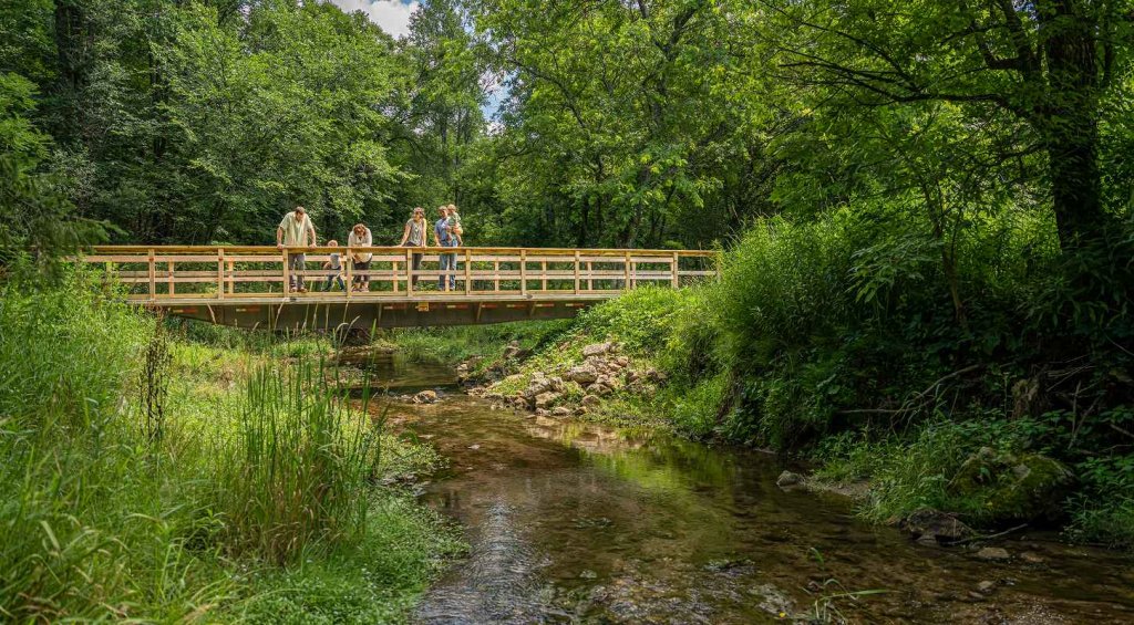 a group of people on a bridge over a stream