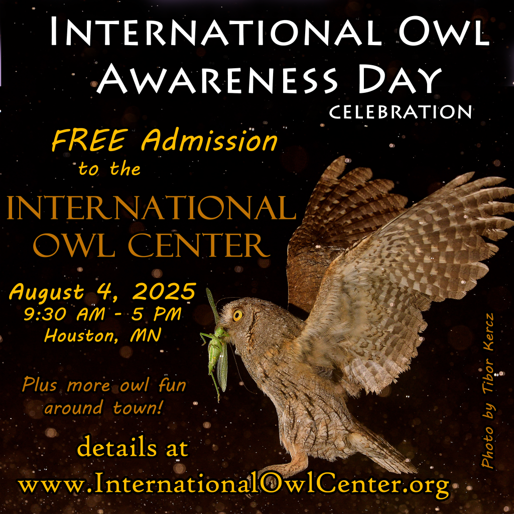 2025 owl awareness day post
