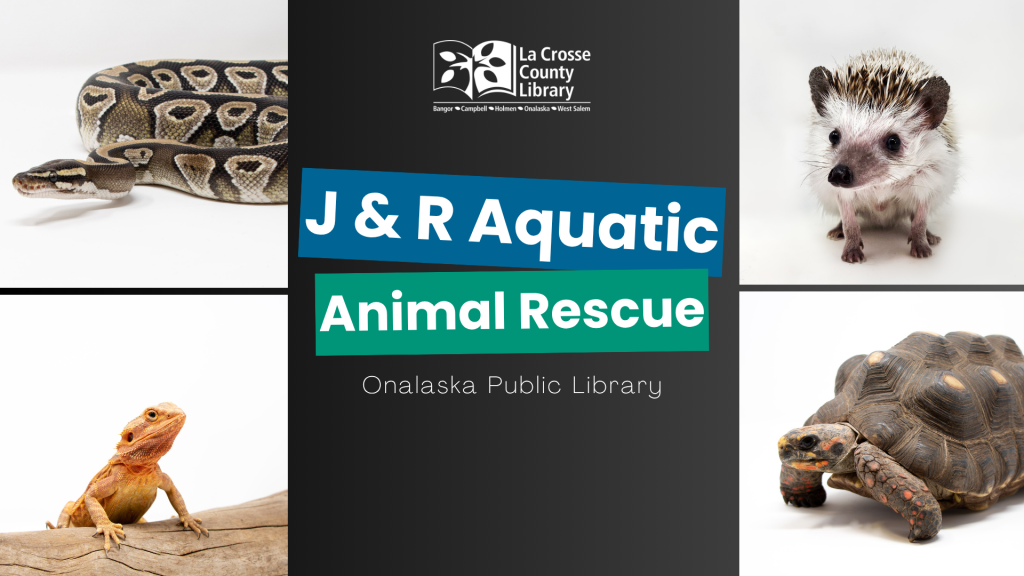 Animal Rescue FB event June 26