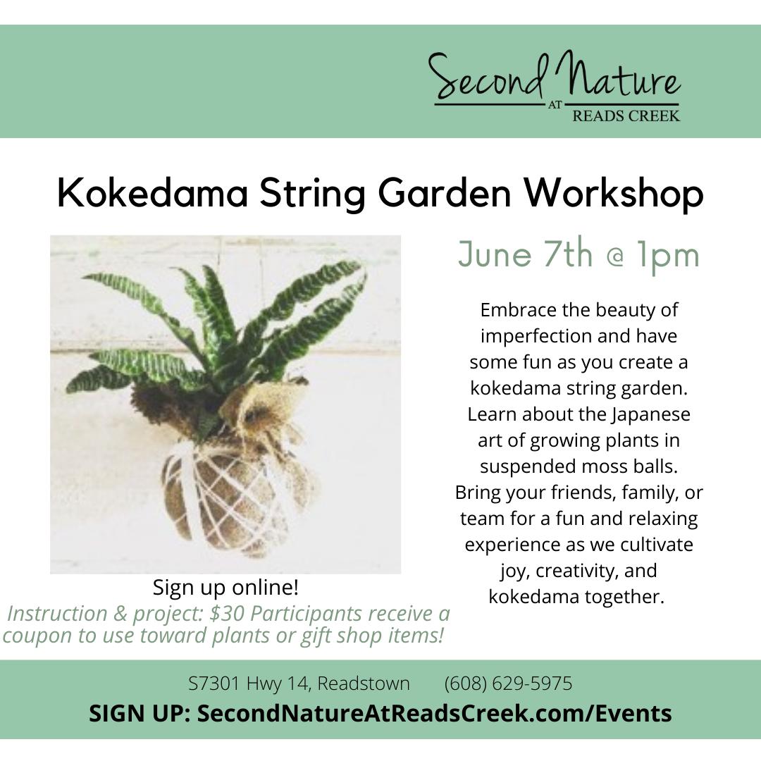 EVENT Kokedama JUNE2025