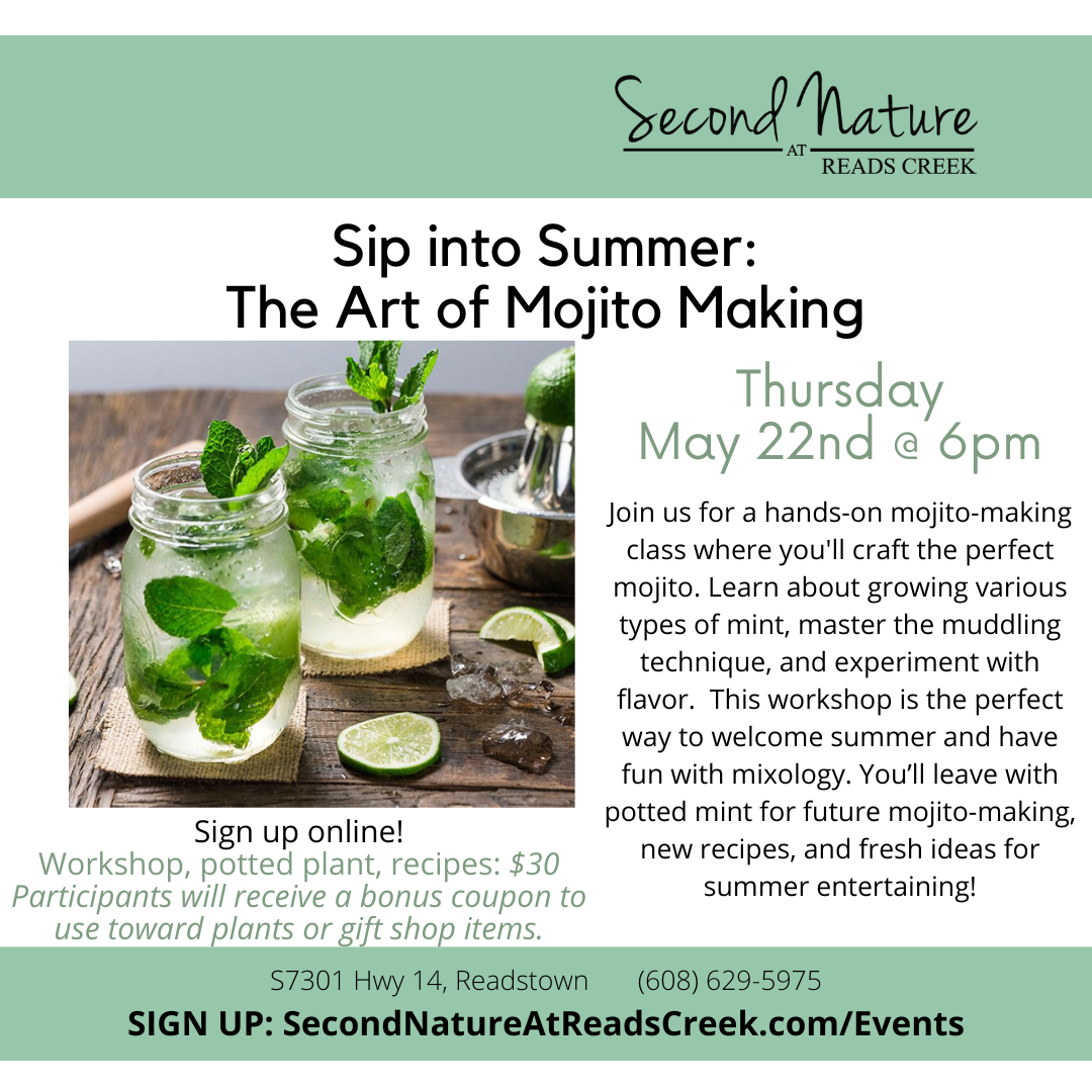 EVENT Mojito 2025