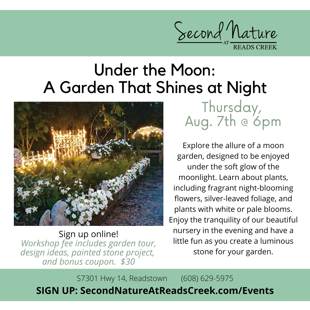 EVENT Moonlight 2025