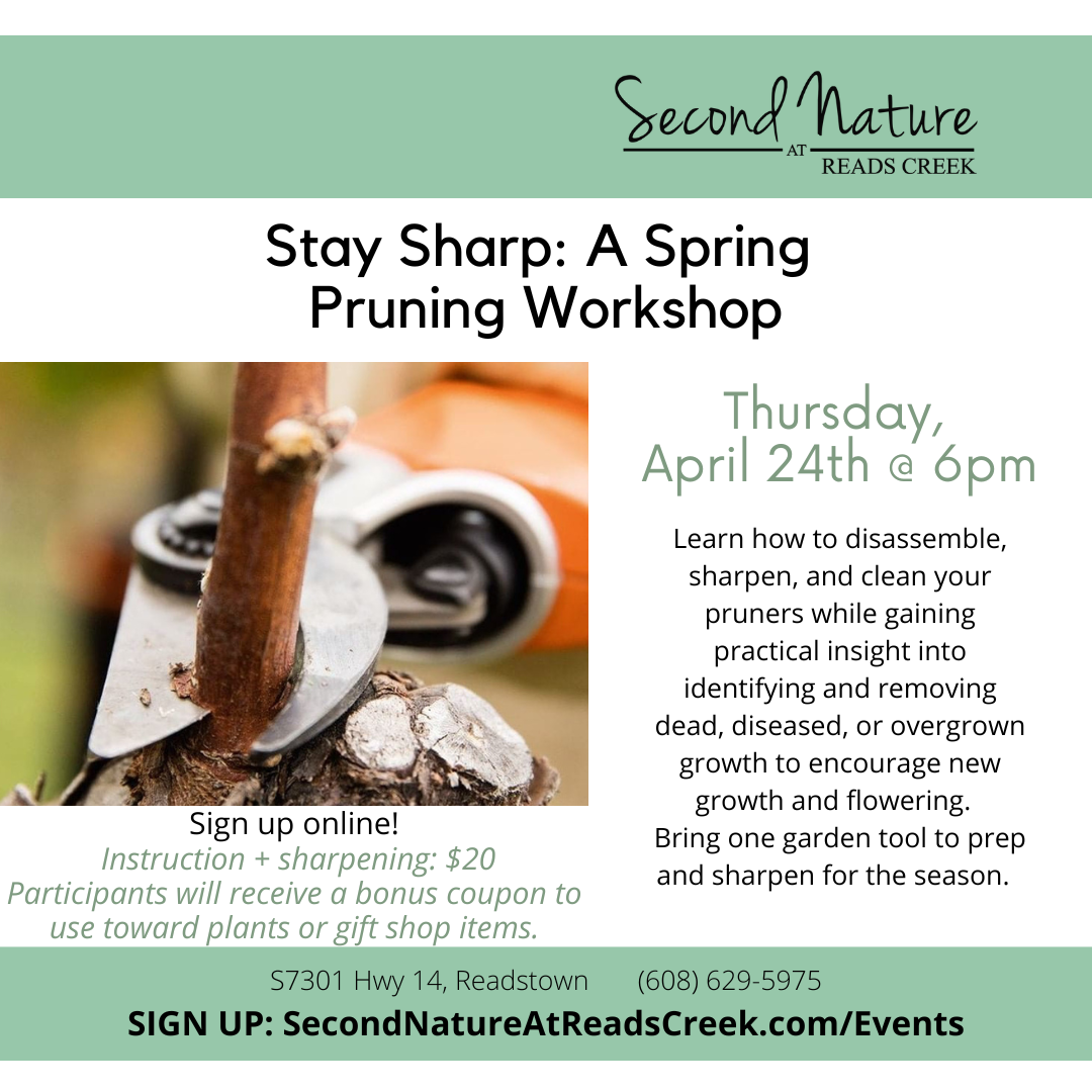 EVENT PruningWorkshop 2025