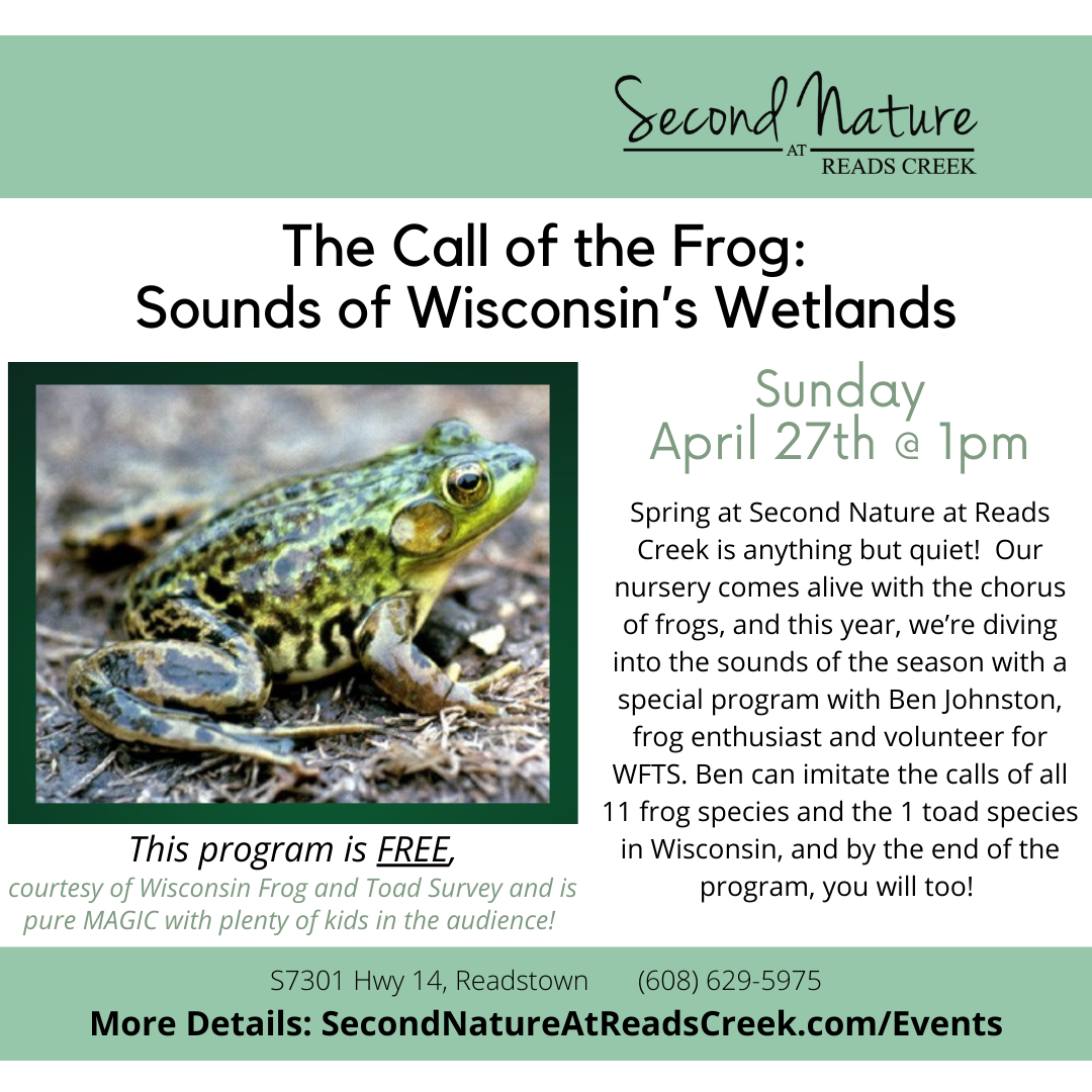 EVENT The Call of the Frog 2025
