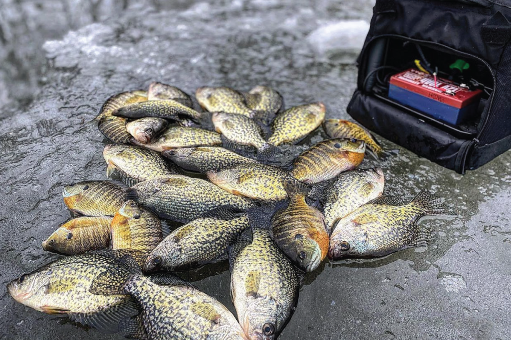 Fishing in the La Crosse Region 9 Fishing Ice Fishing Jeremiah Photo Reduced