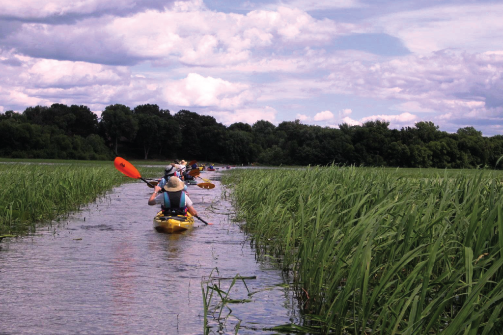 Paddle Away! Popular Paddle Rentals in La Crosse County 4 Paddling Gallery 1