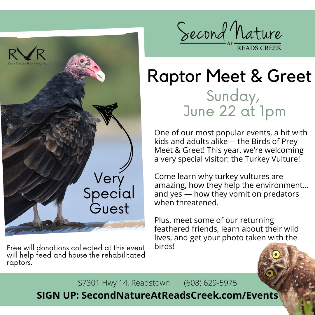 Raptor Meet Greet 2025 w vulture