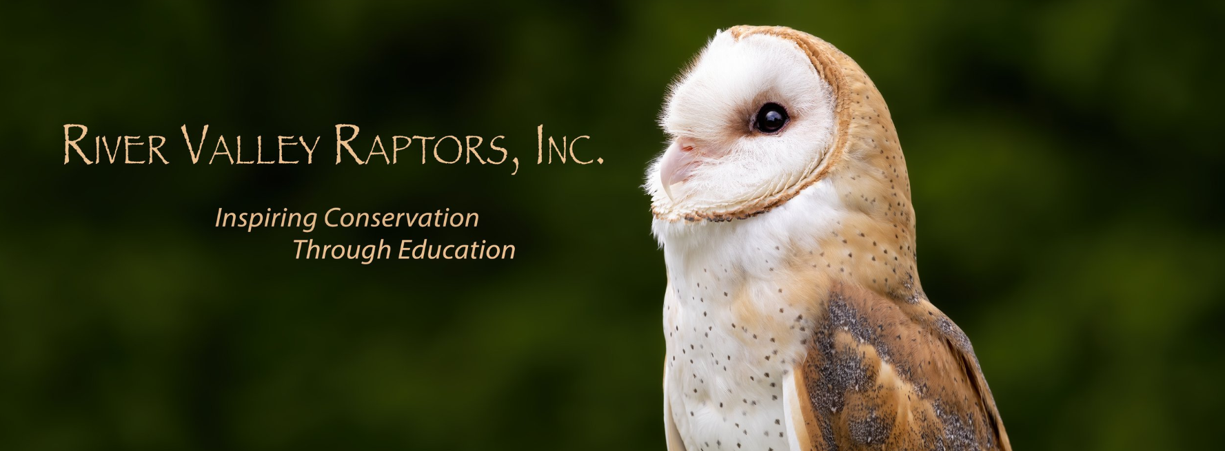 River Valley Raptors 2