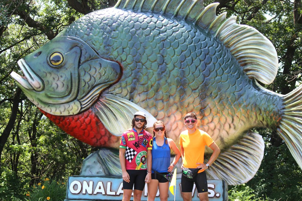 Sunny the Sunfish