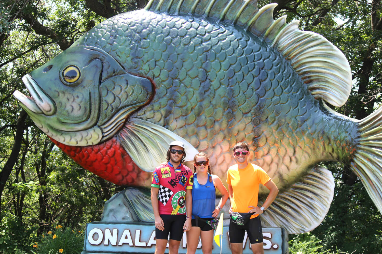 Sunny the Sunfish