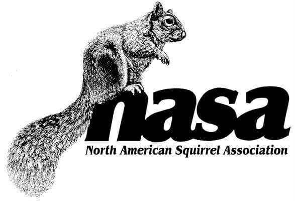 n.a.s.a. Logo