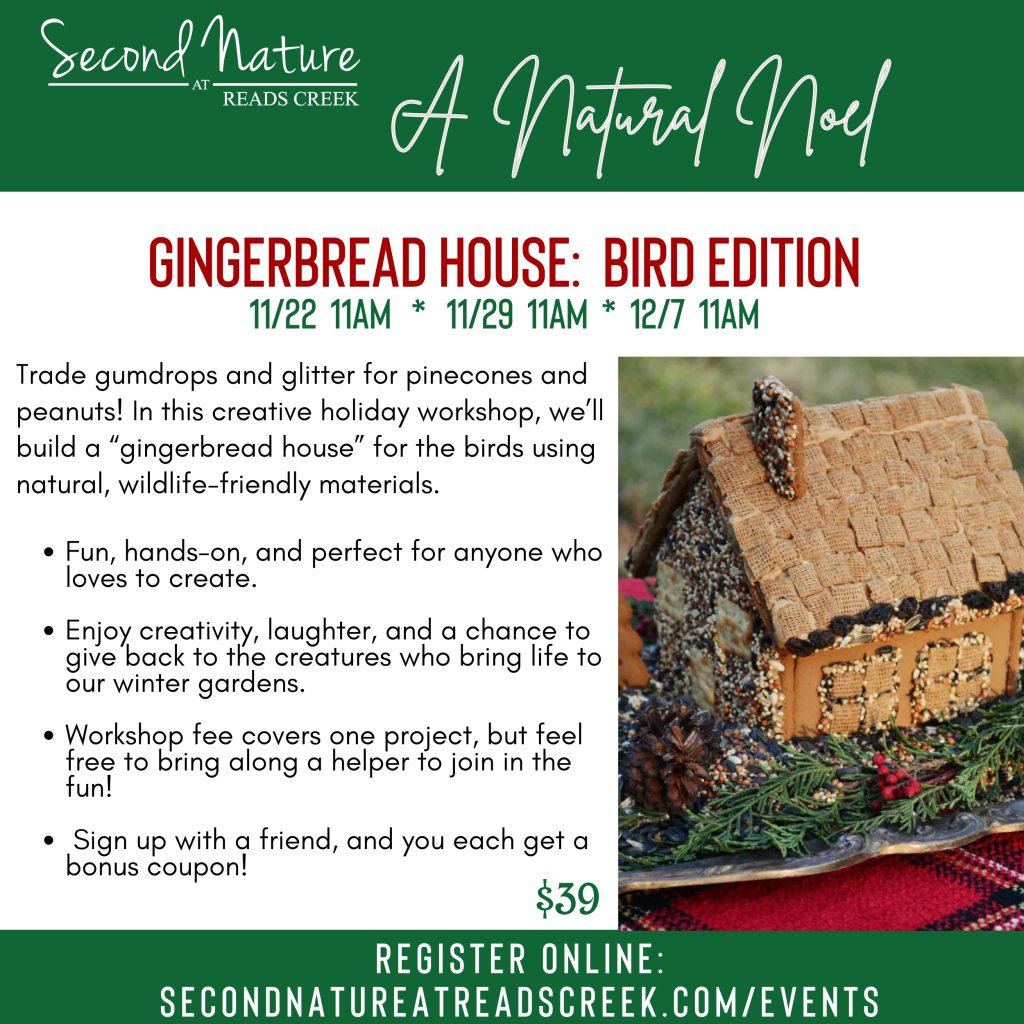 CHR GingerbreadHouseBirdEditionWorkshop20252