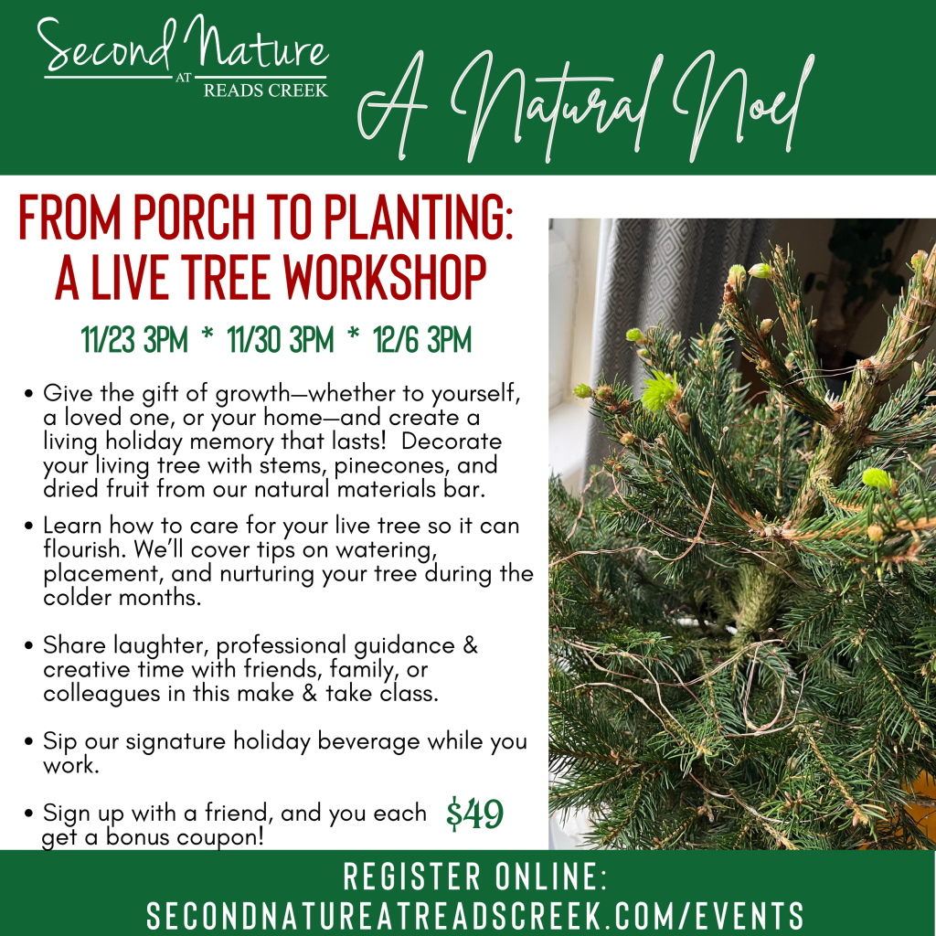 CHR LiveTreeWorkshop20252