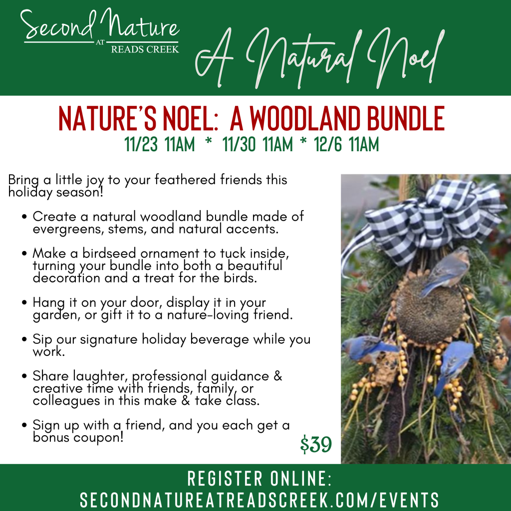 CHR WoodlandBundleWorkshop20251