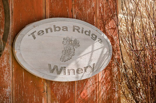 Tenba1