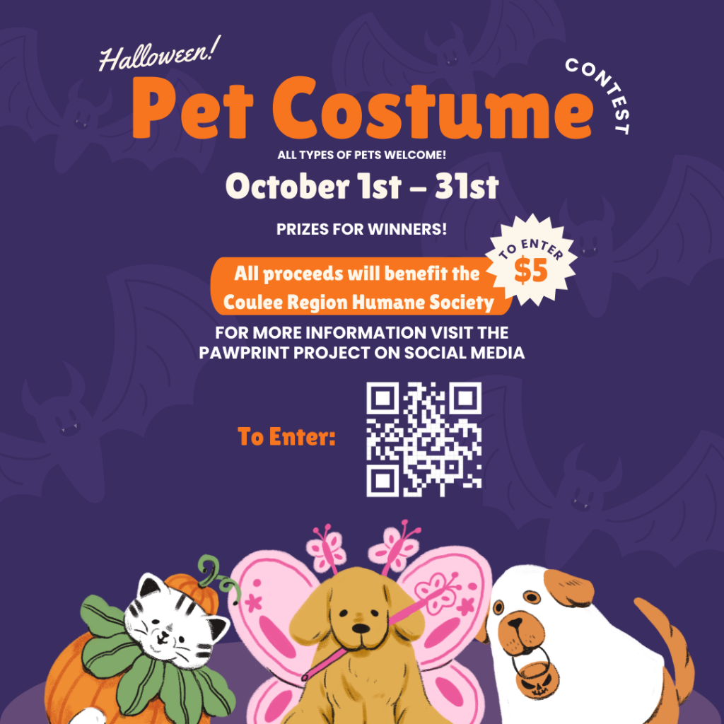 Virtual Pet Costume Contest Facebook