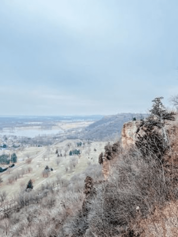bluff 2