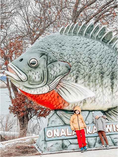 fish