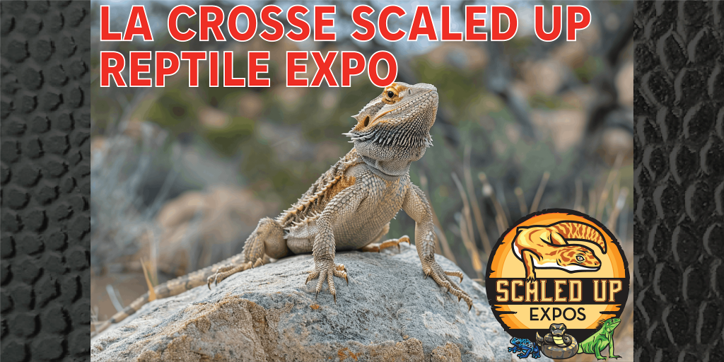 scaled