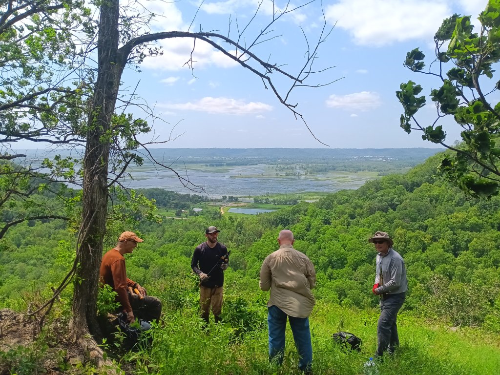 Habitat Restoration @ Wandering Rock State Natural Area 14 20250621 122034