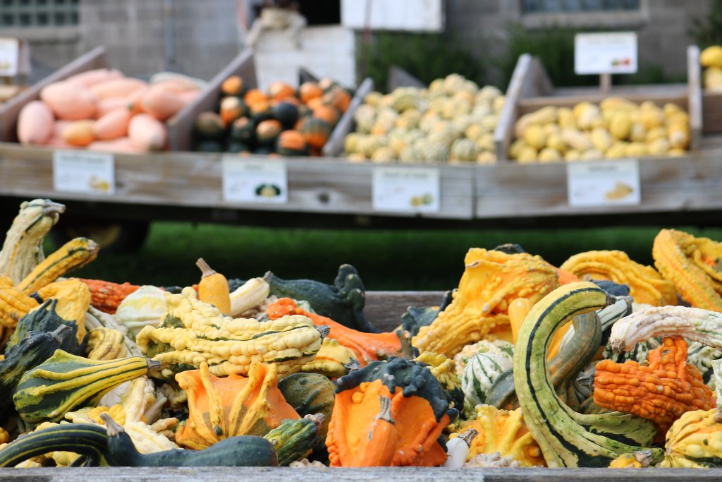3 Fall Adventures Perfect for Pumpkin Season 11 IMG 0674