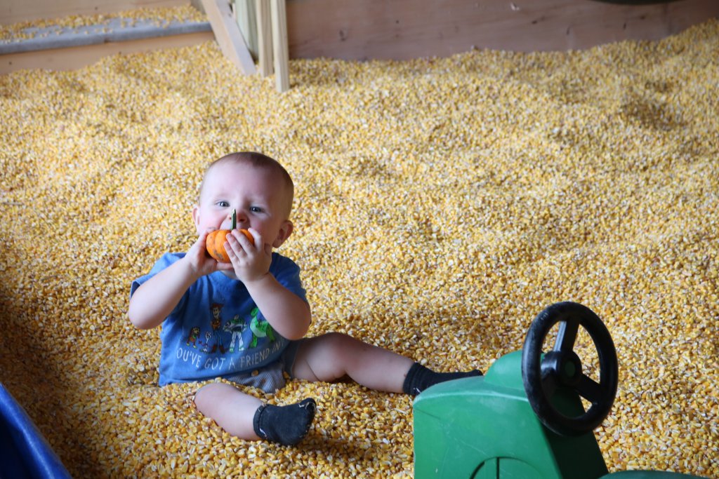 3 Fall Adventures Perfect for Pumpkin Season 5 A child biting a pumpkin in a corn pit