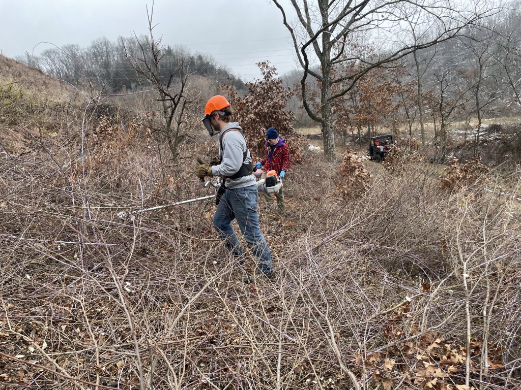 Prairie Restoration @ Boscobel Bluffs State Natural Area 9 IMG 5265