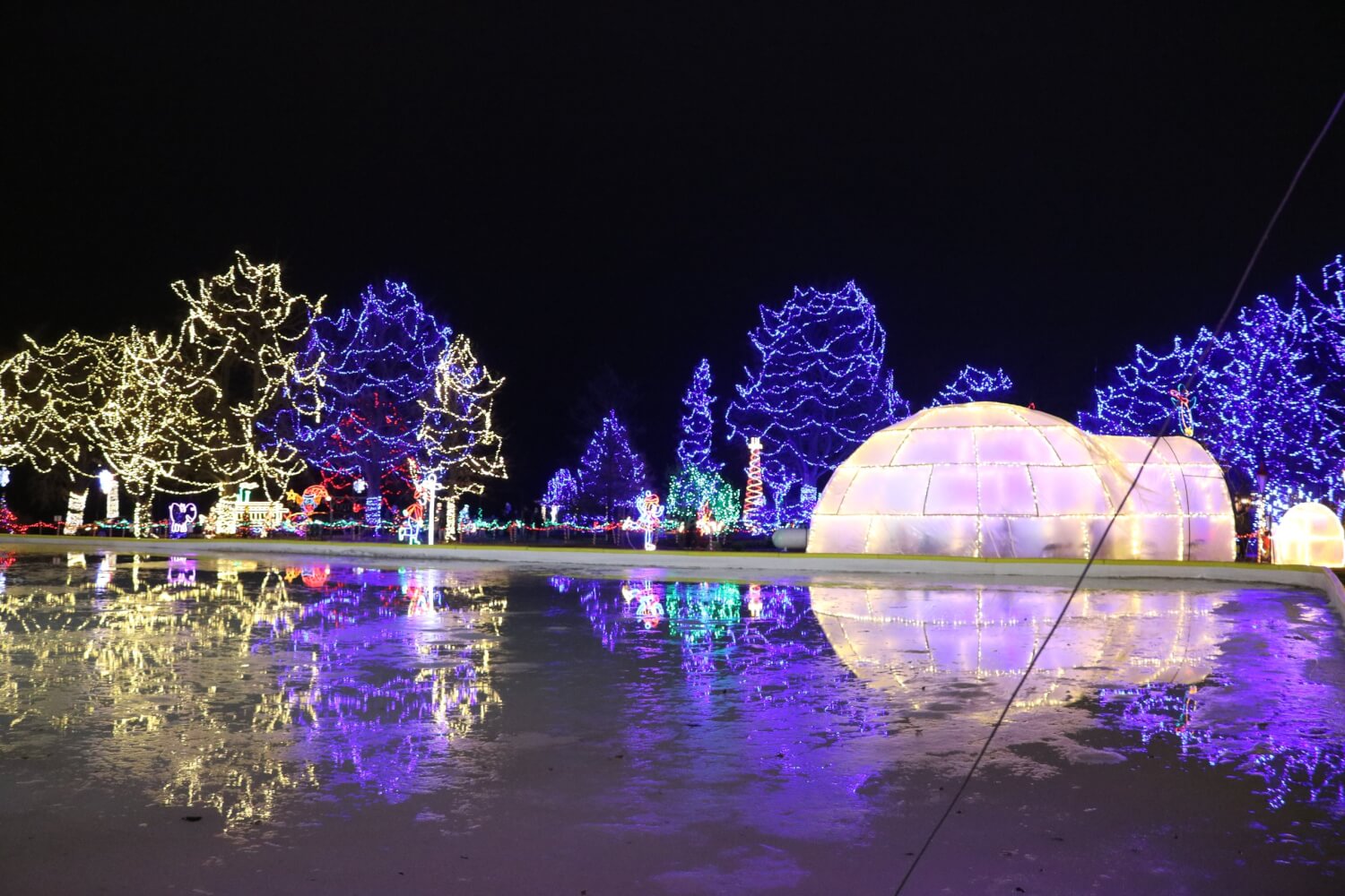 Rotary Lights Getaway Sweepstake 2025 2 IMG 8299 scaled