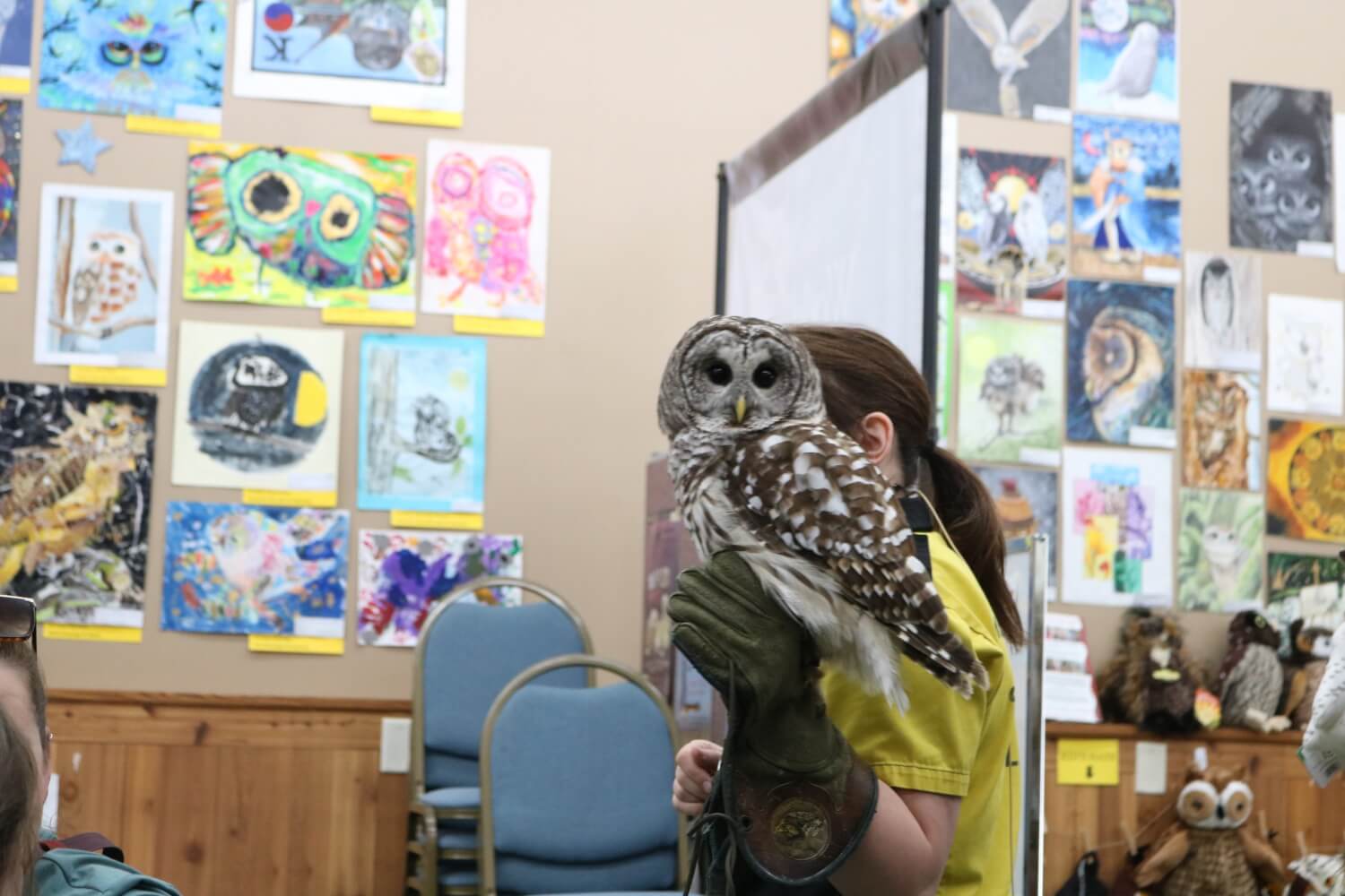 International Owl Center 4 scaled