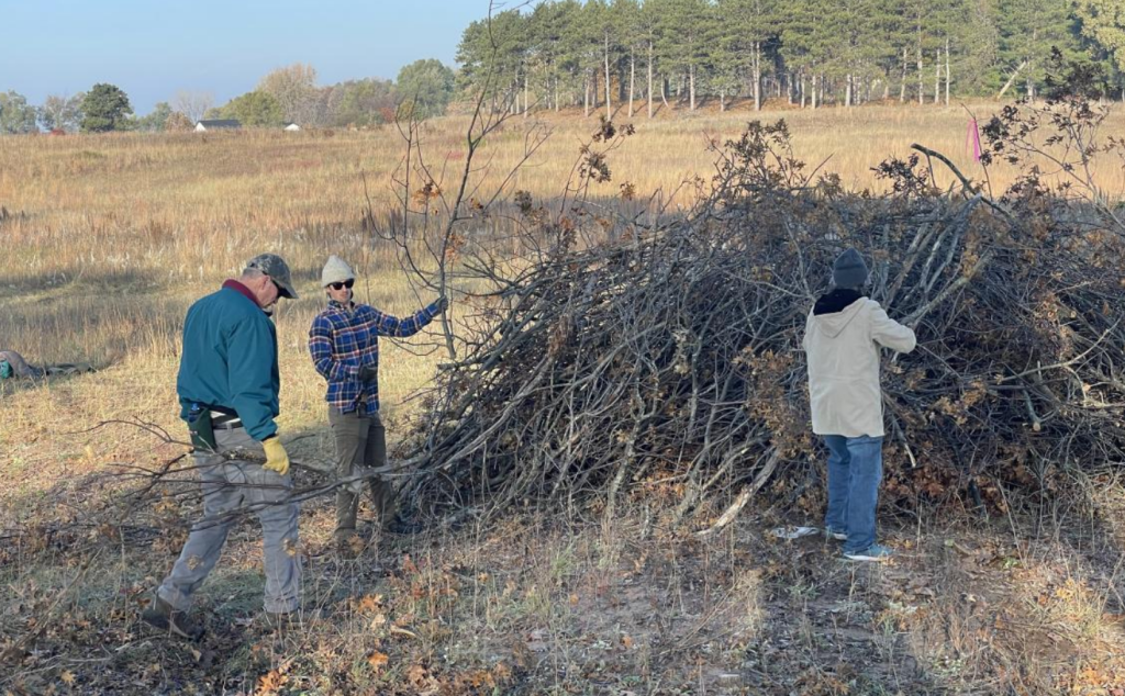 Prairie Restoration @ Kickapoo Bottoms Nature Preserve 9 Screenshot 2025 10 26 202437