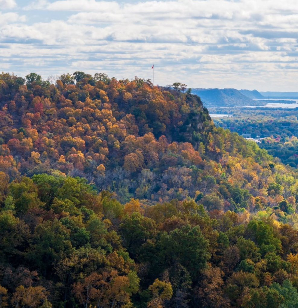 image of colorful fall leaves in the bluffs