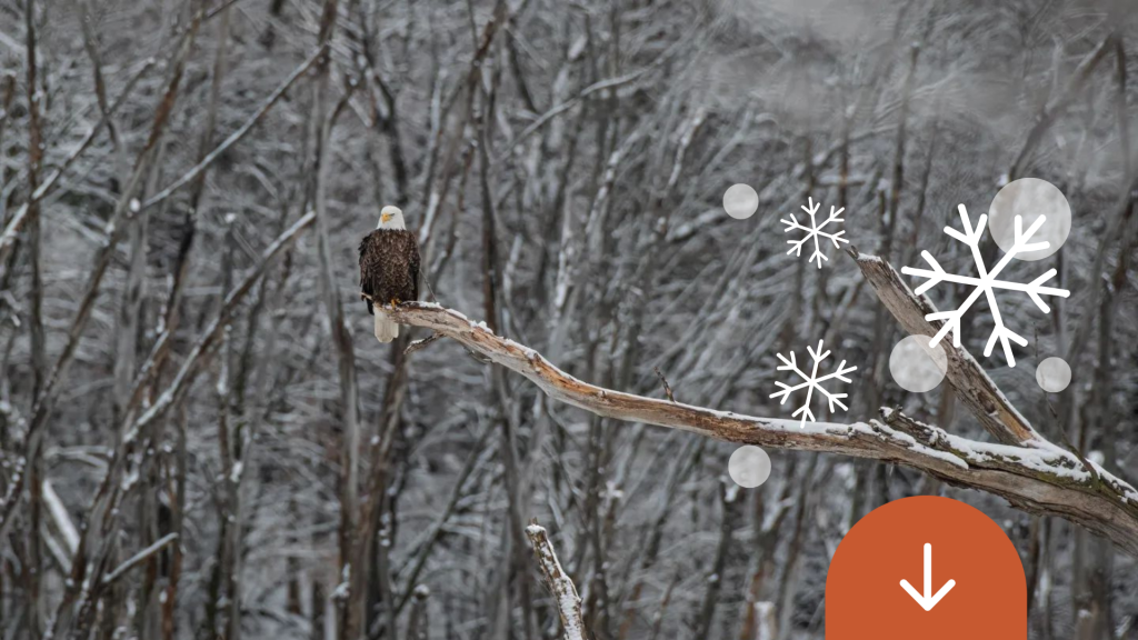 Welcome to the La Crosse Region!