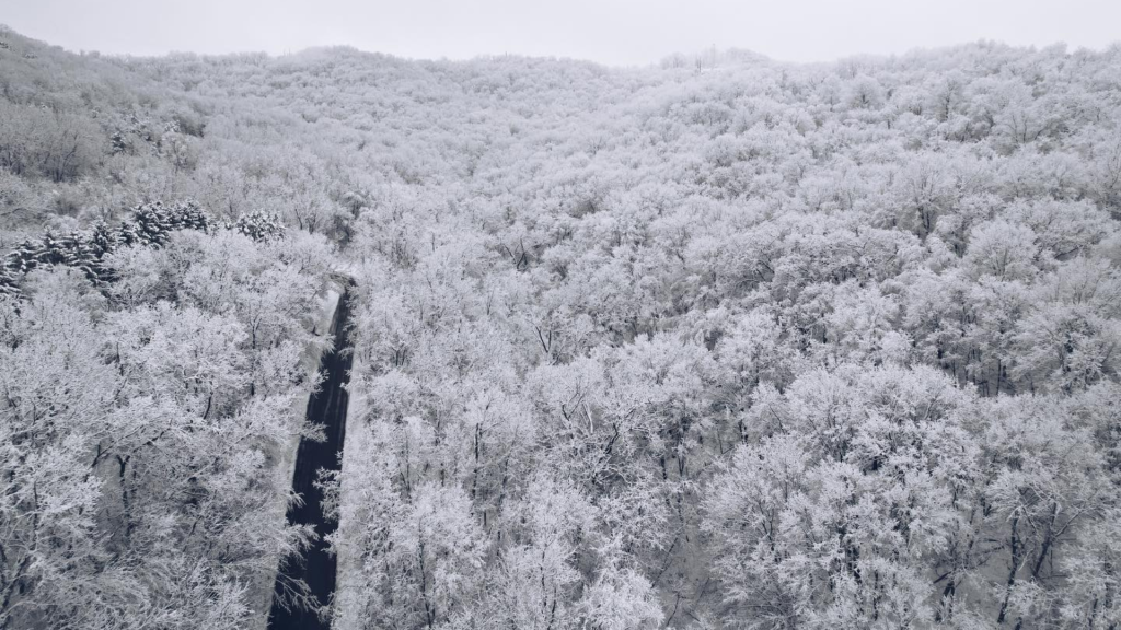 Roads in the La Crosse Region with the a fresh dusting of snow on the trees