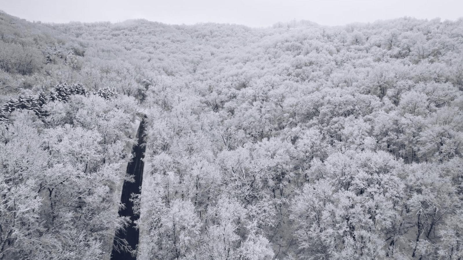 Roads in the La Crosse Region with the a fresh dusting of snow on the trees