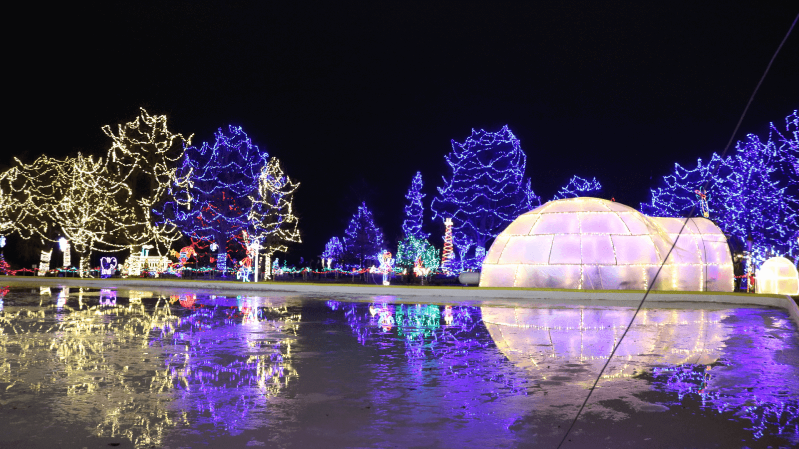 Rotary lights at Riverside Park