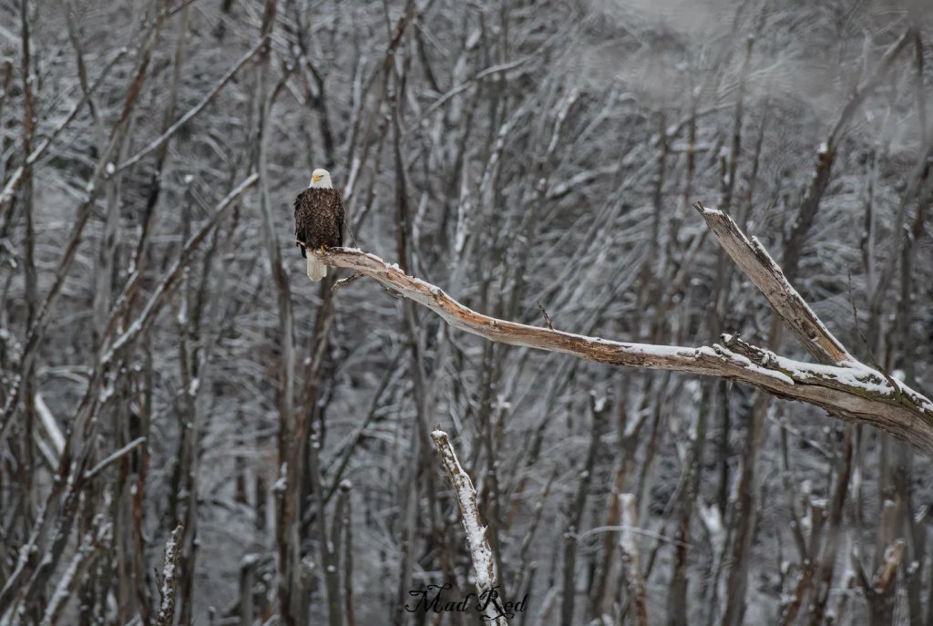 Welcome to the La Crosse Region! 3 gavinmccuephoto Instagram 3381 ig 17891656859780163