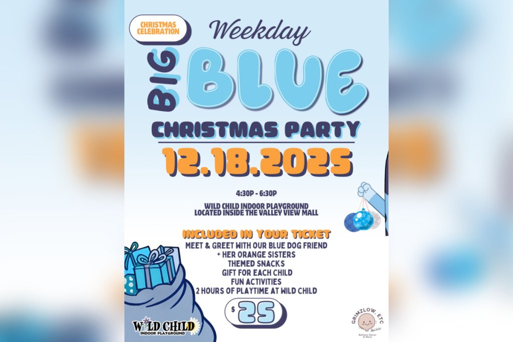 Big BLUE Christmas Party | Wild Child Indoor Playground