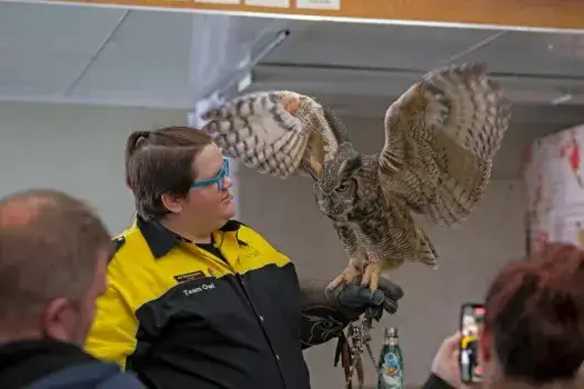 Driftless Detours: Hidden Gems Worth the Drive