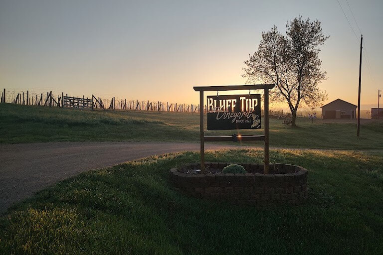 Best Memories of 2025 Photography Sweepstake Best Memories of 2025 Photography Sweepstake