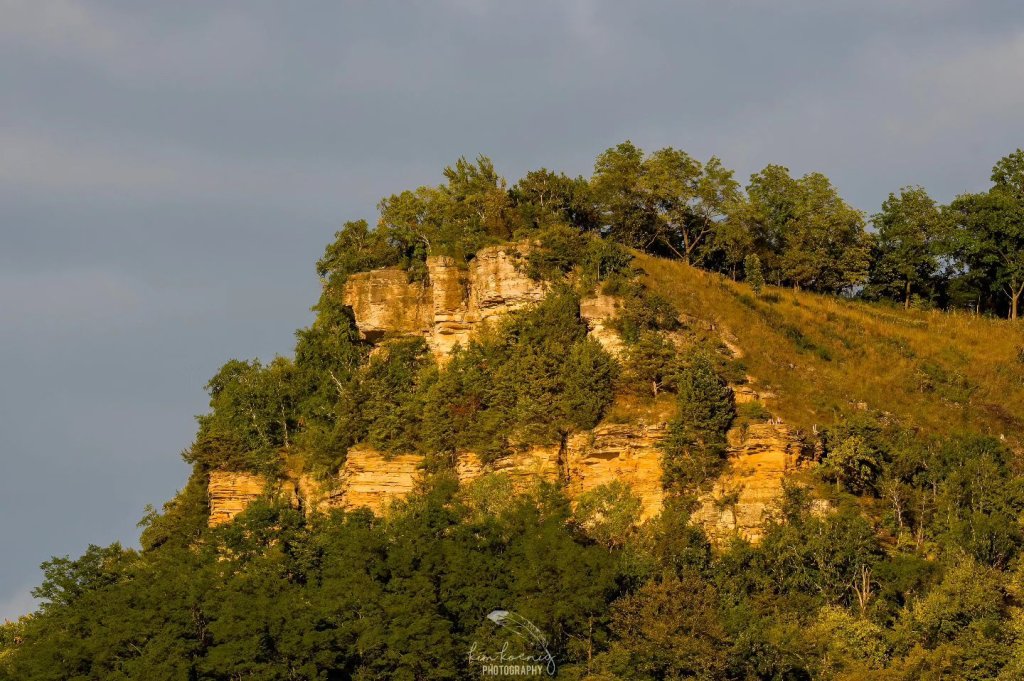 Spend a Day Like a Local: The Insiders' Top Picks