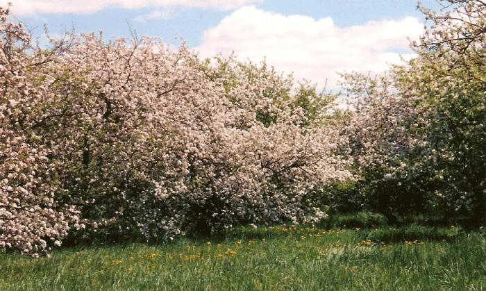 Top Photographed Spots in the La Crosse Region