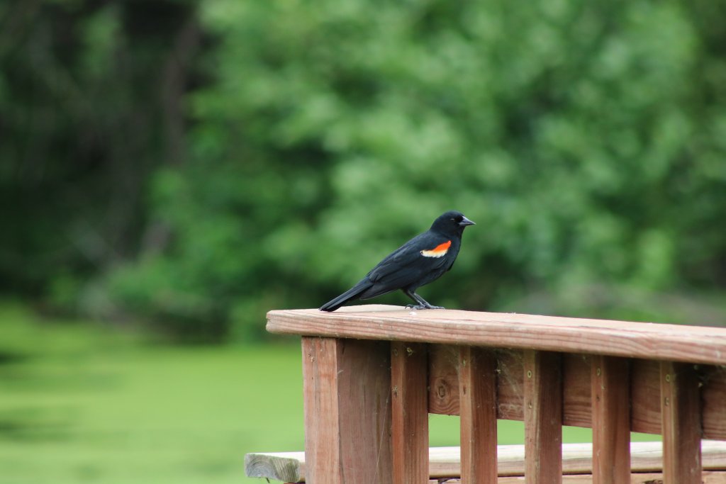 Top Photographed Spots in the La Crosse Region