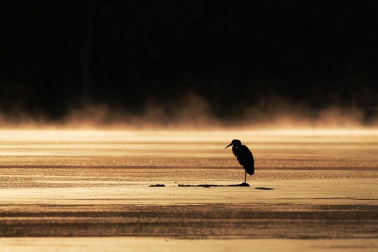 Memories By The Boatful