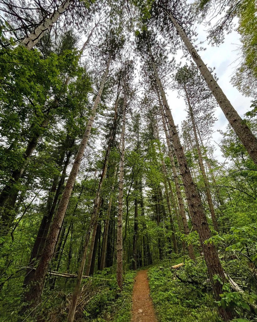 Top Photographed Spots in the La Crosse Region